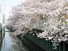 王子川都市下水路